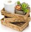 Water Hyacinth Vanity Trays - Set of 3